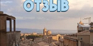 отзыв на волонтерский проект